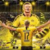 meine.liebe.ist.bvb