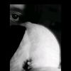 iam.lauuu_