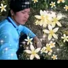 khang.v853