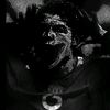 team_canguro.jareda2099