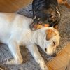 samantha_and_reggie