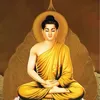 nguyenanh9185
