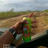 gabz2319