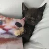 stary_dziadu_maciek