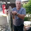 ivanmonduber