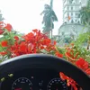 baophuong669