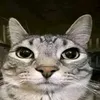 user8511064519964