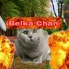 11belka_chan11