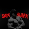 sam_sulek_clips02