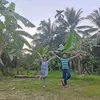 ramli_569