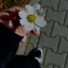 zahhraa_2001