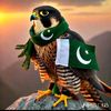 pakturkey1