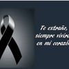 user8330314737721
