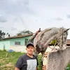pedrovidal4652