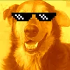 lucasmdq