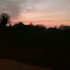 amelia_15210