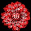 raidyakoub265