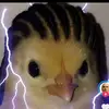 user1233user_