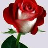 margy_monica