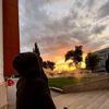 ff_carlos534