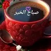 syed.shujat.ali.s