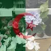 youyoucef449