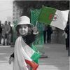 mohamedaminee465