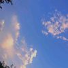 tibb_181