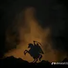 dy66hqbs7tnn