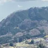 yomuyomuhumume