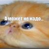 malum_inspectoris
