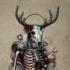 t0xic_.ghost