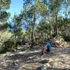 nixs_113