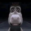 thedonkey2.0