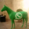 krtyy78