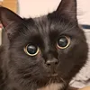 heyyybunnyyy
