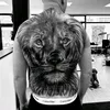 stephanovic88