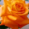 user1316721062757