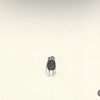 cuenta_0210