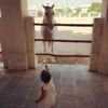 mariamloveshorses