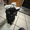 keepitholy91