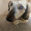 sherryjohnson782