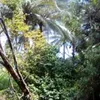 22melan77