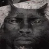gatocomomolho