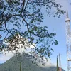 yyaja_25