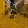markel_cc.07