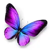 deysi_mamani_quispe