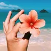 florbella_2023