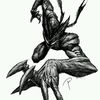 imamkm6