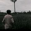 mazz.rendy6